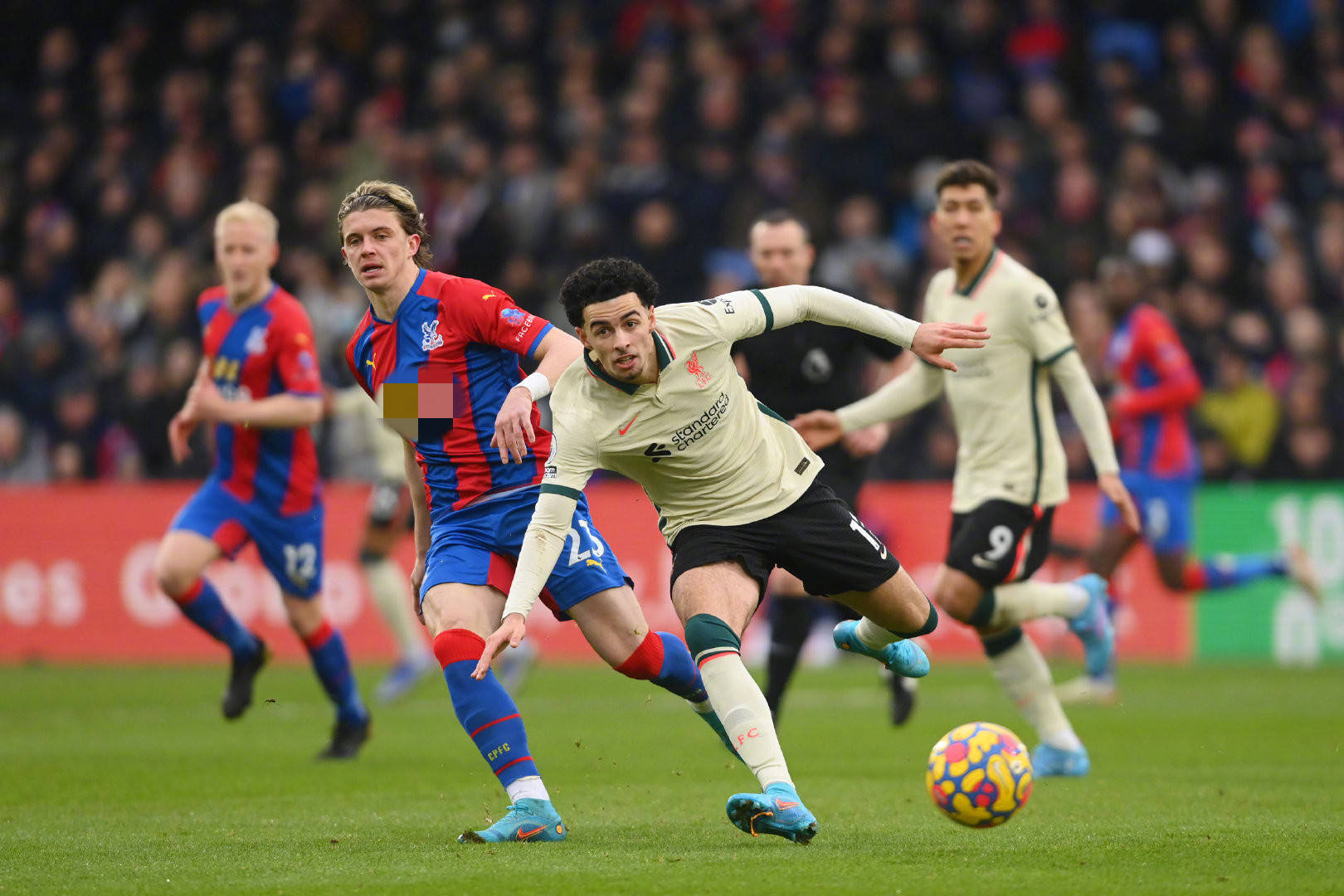 他们承担着 他们承担着